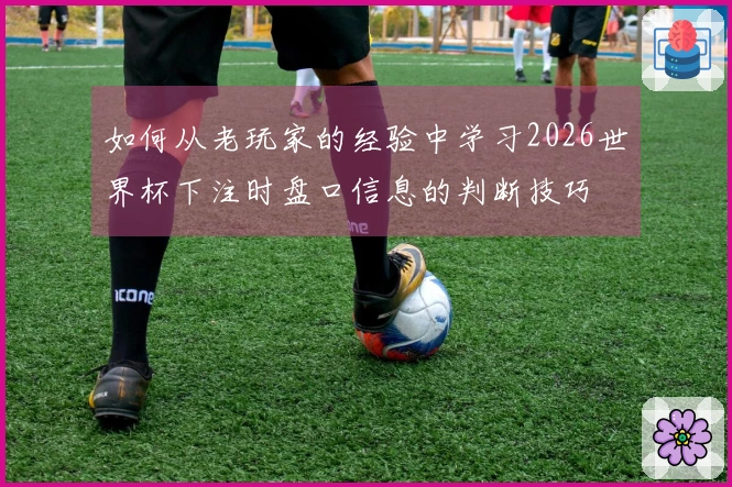 如何从老玩家的经验中学习2026世界杯下注时盘口信息的判断技巧